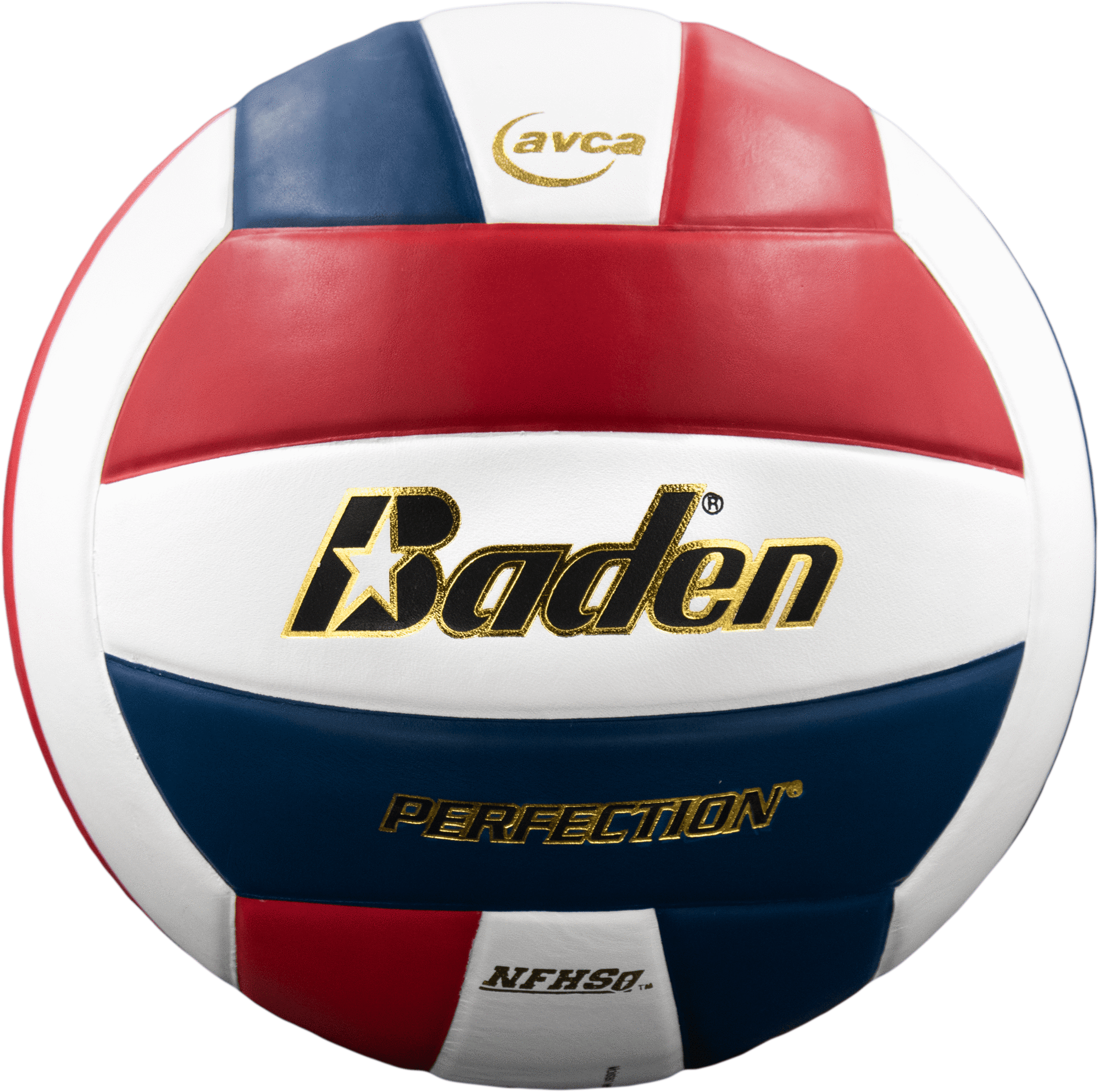PERFECTION LEATHER VOLLEYBALL