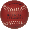  Pronine Fastpitch softballs - "WTB12-10" (sold by case - 6 dozens)