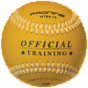 Pronine 9 inch 10 ounces official training leather baseballs - "WTB9-10" (sold by case - 10 dozen)